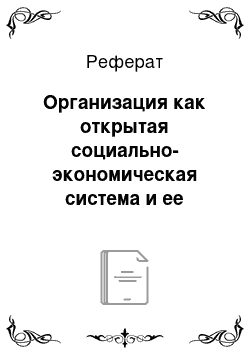 Реферат: Организация как открытая социально-экономическая система и ее информационная среда