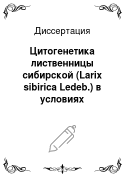 Диссертация: Цитогенетика лиственницы сибирской (Larix sibirica Ledeb.) в условиях интродукции и антропогенного стресса