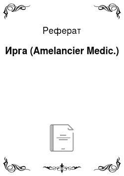 Реферат: Ирга (Amelancier Medic.)
