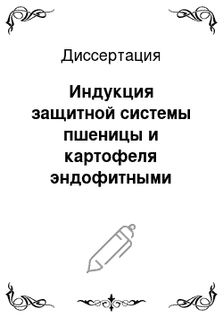 Диссертация: Индукция защитной системы пшеницы и картофеля эндофитными бактериями Bacillus subtilis 26Д