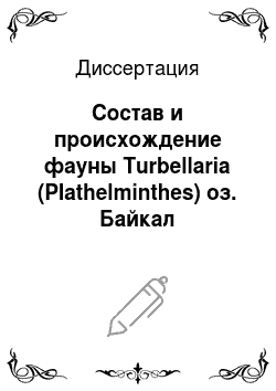 Диссертация: Состав и происхождение фауны Turbellaria (Plathelminthes) оз. Байкал