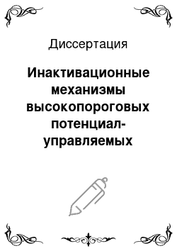 Диссертация: Инактивационные механизмы высокопороговых потенциал-управляемых кальциевых каналов и взаимодействие с Ca2+-антагонистами