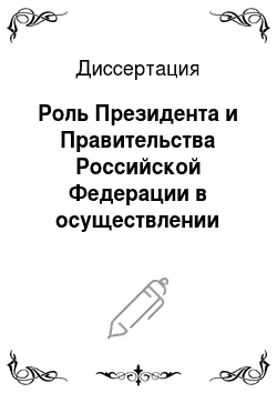 Диссертация: Роль Президента и Правительства Российской Федерации в осуществлении исполнительной власти