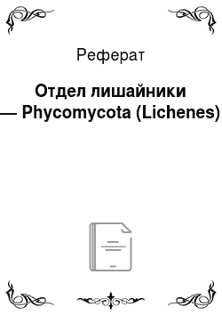 Реферат: Отдел лишайники — Phycomycota (Lichenes)