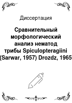 Диссертация: Сравнительный морфологический анализ нематод трибы Spiculopteragiini (Sarwar, 1957) Drozdz, 1965
