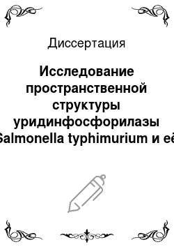 Диссертация: Исследование пространственной структуры уридинфосфорилазы Salmonella typhimurium и её комплексов с аналогами субстратов