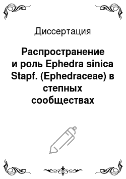 Диссертация: Распространение и роль Ephedra sinica Stapf. (Ephedraceae) в степных сообществах Восточной Монголии