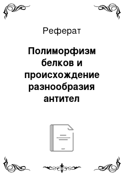 Реферат: Полиморфизм белков и происхождение разнообразия антител