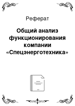 Реферат: Общий анализ функционирования компании «Спецэнерготехника»