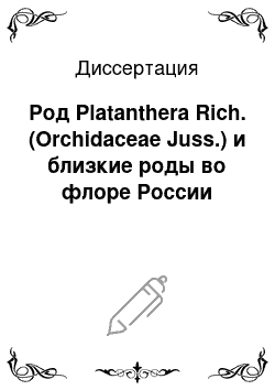 Диссертация: Род Platanthera Rich. (Orchidaceae Juss.) и близкие роды во флоре России