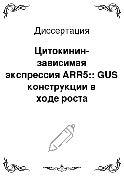 Диссертация: Цитокинин-зависимая экспрессия ARR5:: GUS конструкции в ходе роста трансгенных растений Arabidopsis thaliana (L.) Heynh. на нитратном и аммонийном источниках азота