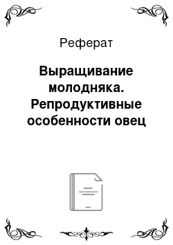 Реферат: Выращивание молодняка. Репродуктивные особенности овец