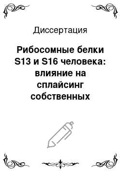 Диссертация: Рибосомные белки S13 и S16 человека: влияние на сплайсинг собственных пре-мРНК