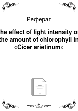 Реферат: The effect of light intensity on the amount of chlorophyll in «Cicer arietinum»