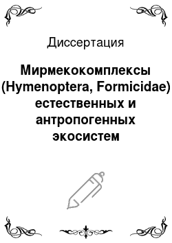 Диссертация: Мирмекокомплексы (Hymenoptera, Formicidae) естественных и антропогенных экосистем Кузнецко-Салаирской горной области