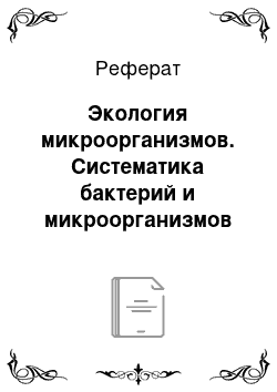 Реферат: Экология микроорганизмов. Систематика бактерий и микроорганизмов