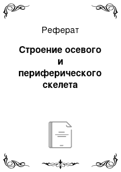 Реферат: Строение осевого и периферического скелета