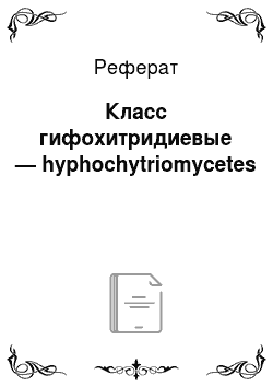Реферат: Класс гифохитридиевые — hyphochytriomycetes