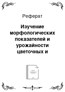 Реферат: Изучение морфологических показателей и урожайности цветочных и овощных культур на фоне применения влагосорбентов в открытом грунте