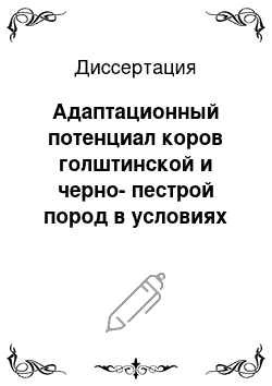 Диссертация: Адаптационный потенциал коров голштинской и черно-пестрой пород в условиях Северо-Запада России