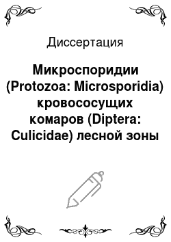 Диссертация: Микроспоридии (Protozoa: Microsporidia) кровососущих комаров (Diptera: Culicidae) лесной зоны юга Западной Сибири