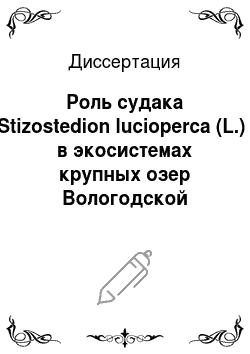 Диссертация: Роль судака (Stizostedion lucioperca (L.) ) в экосистемах крупных озер Вологодской области