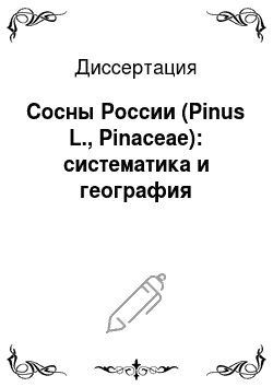 Диссертация: Сосны России (Pinus L., Pinaceae): систематика и география