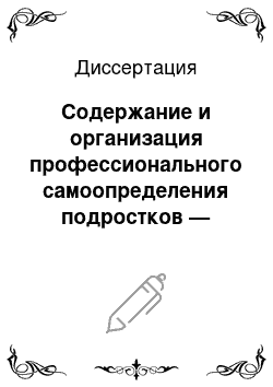 Диссертация: Содержание и организация профессионального самоопределения подростков — воспитанников детского дома