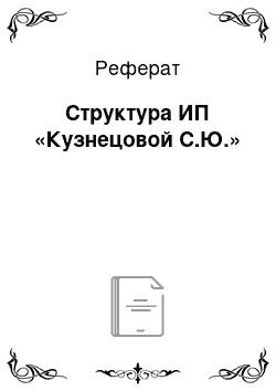 Реферат: Структура ИП «Кузнецовой С.Ю.»