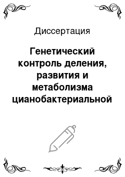 Диссертация: Генетический контроль деления, развития и метаболизма цианобактериальной клетки