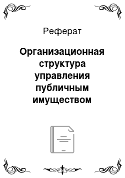 Реферат: Организационная структура управления публичным имуществом