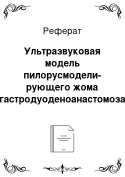 Реферат: Ультразвуковая модель пилорусмодели-рующего жома гастродуоденоанастомоза при резекции желудка по бильрот-i