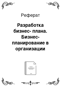 Реферат: Разработка бизнес-плана. Бизнес-планирование в организации