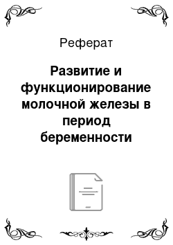 Реферат: Развитие и функционирование молочной железы в период беременности