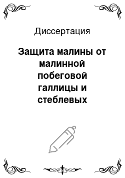 Диссертация: Защита малины от малинной побеговой галлицы и стеблевых микозов в Западной Сибири