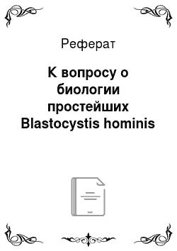 Реферат: К вопросу о биологии простейших Blastocystis hominis