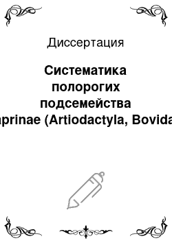 Диссертация: Систематика полорогих подсемейства Caprinae (Artiodactyla, Bovidae)