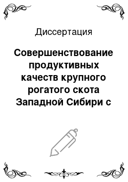 Диссертация: Совершенствование продуктивных качеств крупного рогатого скота Западной Сибири с использованием породных и адаптивных факторов