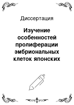 Диссертация: Изучение особенностей пролиферации эмбриональных клеток японских ускорению стареющих мышей