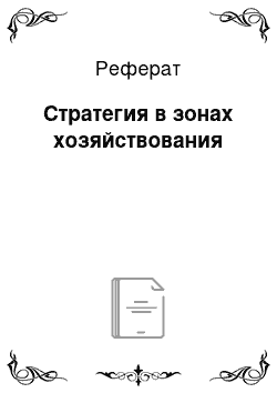 Реферат: Стратегия в зонах хозяйствования