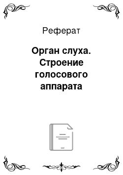 Реферат: Орган слуха. Строение голосового аппарата