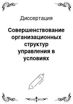 Диссертация: Совершенствование организационных структур управления в условиях объединения хозяйствующих субъектов