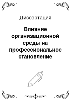 Диссертация: Влияние организационной среды на профессиональное становление личности руководителя