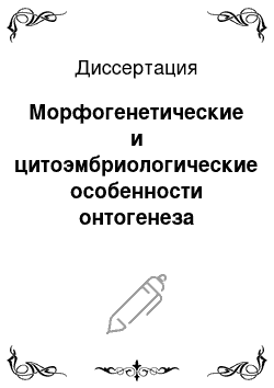 Диссертация: Морфогенетические и цитоэмбриологические особенности онтогенеза апомиктичных растений сахарной свеклы, (Beta Vulgaris L.)