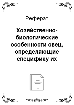 Реферат: Хозяйственно-биологические особенности овец, определяющие специфику их кормления