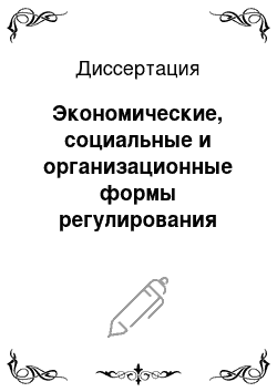 Диссертация: Экономические, социальные и организационные формы регулирования развития малых предприятий в сфере платных услуг