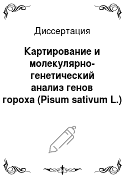 Диссертация: Картирование и молекулярно-генетический анализ генов гороха (Pisum sativum L.)