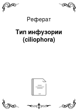 Реферат: Тип инфузории (ciliophora)