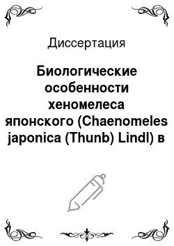 Диссертация: Биологические особенности хеномелеса японского (Chaenomeles japonica (Thunb) Lindl) в условиях южной лесостепи Омской области