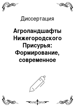 Диссертация: Агроландшафты Нижегородского Присурья: Формирование, современное состояние и оптимизация